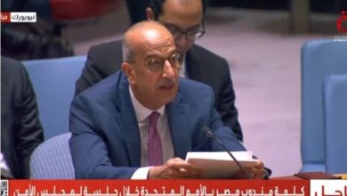 مصر تحذر: انتهاكات إسرائيل تهدد الأمن الإقليمي والدولي