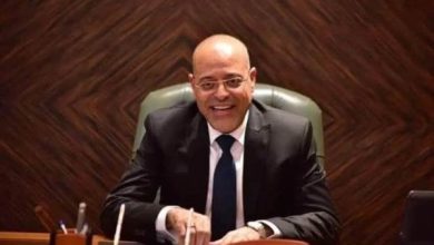 مصر تحقق تقدمًا كبيرًا في مكافحة عمل الأطفال وفقًا لوزير العمل