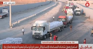 أخبار مصر.. وزارة الخارجية تعلن إدخال مصر 70% من مساعدات غزة