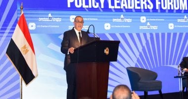 مصر ترحب بالبيان الصادر عن 25 دولة حول الوضع في الأراضي الفلسطينية المحتلة