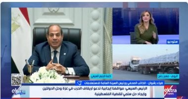 ضياء رشوان: مصر التزمت بـ3 أهداف منذ بدء العدوان.. وموقفها من القضية ثابت