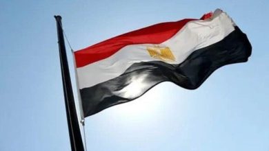 مصر تندد باستهداف الاحتلال الإسرائيلي لدور العبادة في غزة