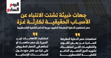 مصر تستهجن الدعاية المغرضة لتشويه دورها الداعم للقضية الفلسطينية (إنفوجراف)