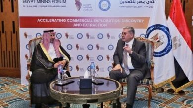 مصر والسعودية تناقشان فرص التعاون في قطاع التعدين