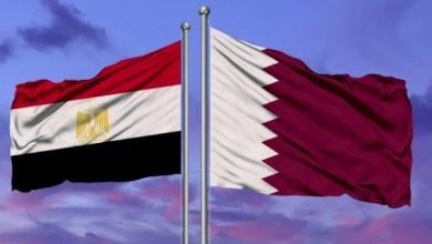 مصر وقطر تواصلان جهودهما في وساطة غزة
جهود مشتركة لمصر وقطر في أزمة غزة
مصر وقطر يعززان مساعي الوساطة في غزة
العلاقات المصرية القطرية تدعم جهود الوساطة في غزة
