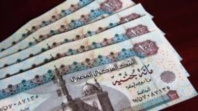 معاش ربات البيوت متاح