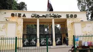 مفاجآت مثيرة في تطوير حديقة الحيوان بعد إعلان موعد افتتاحها رسميًا