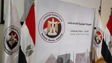 مقار تصويت المصريين بالخارج تُحدد لانتخابات الشيوخ بالتزامن مع قرار الوطنية للانتخابات