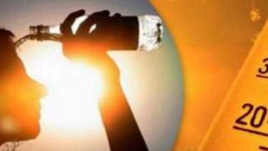 موجة حارة وأمطار رعدية متوقعة تضرب البلاد قريباً
15/07/2025 05:00 ص
حذر الدكتور محمد على فهيم رئيس مركز معلومات غير المناخ، من حالة الطقس خلال الفترة القادمة