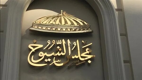 موعد إعلان قوائم مرشحي الشيوخ 2025 وبدء الدعاية الانتخابية