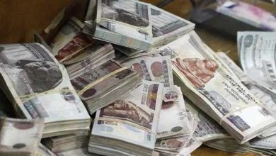 موعد صرف مرتبات يوليو بالزيادة الجديدة يعود للواجهة مجددًا 13800 جنيه للدرجة الممتازة