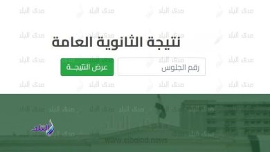 نتائج الثانوية العامة 2025 تلوح في الأفق.. وبشرى عن نسب النجاح المرتقبة