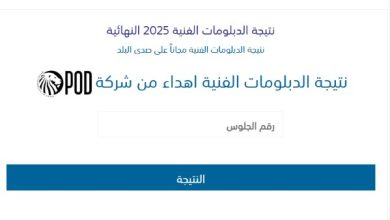 نتيجة الدبلومات الفنية 2025 متاحة الآن عبر صدى البلد برقم الجلوس