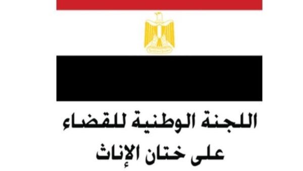 نجاح اللجنة الوطنية للقضاء على ختان الإناث في إحباط 8 محاولات بأسيوط وسوهاج