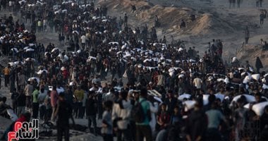 فصائل العمل الوطني في فلسطين: نجاح جهود مصر لإدخال الشاحنات لغزة