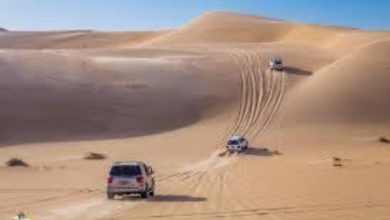 وزارة السياحة تطلق برامج جديدة حب المغامرات والطبيعة
السياحة المصرية تعزز برامج الرحلات الصحراوية لمحبي الاندفاع
المغامرات في الطبيعة.. وزارة السياحة توسع عروضها الصحراوية