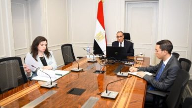 وزير الخارجية يؤكد ضرورة مشاركة المصريين في الانتخابات القادمة
