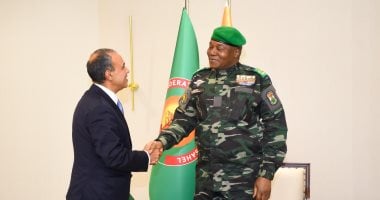 وزير الخارجية يسلم رسالة خطية من الرئيس السيسى إلى رئيس النيجر