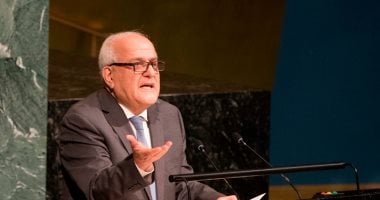 مندوب فلسطين بمجلس الأمن: إسرائيل تتحدى العالم بإعلانها اعتزام احتلال غزة بالكامل