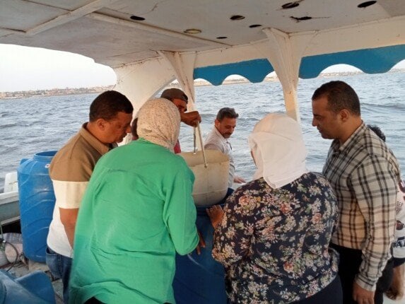 إطلاق دفعة جديدة من يرقات الجمبري في بحيرة قارون بالفيوم