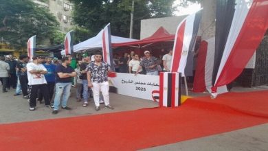 إقبال ملحوظ في انتخابات الشيوخ والتزام كامل من رؤساء اللجان بقرارات الوطنية