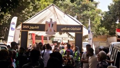 إقبال ملحوظ للناخبين على لجان القاهرة مع قرب إغلاق التصويت «صور»