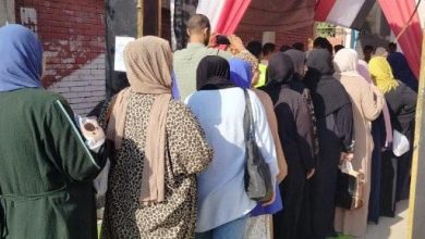 إقبال نساء غير مسبوق على لجان القليوبية في اليوم الثاني لانتخابات الشيوخ