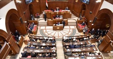 كيف يختار رئيس الجمهورية المعينين بمجلس الشيوخ؟ القانون يكشف التفاصيل