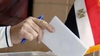 استعدادات انتخابات مجلس الشيوخ 2025.. تجهيز 136 لجنة لاستقبال المصريين بالخارج