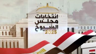 الإقبال الجماهيري يعكس تمسك المصريين بحقوقهم الدستورية وفقاً لبيان «حماة الوطن»
