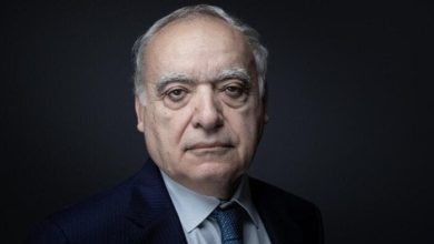 التعاون الثقافي: وزير الثقافة اللبناني يشكر مصر على دعمها لبيروت