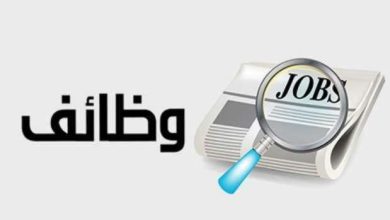 التقديم يبدأ غدًا: «الكهرباء» تكشف عن فرص عمل جديدة