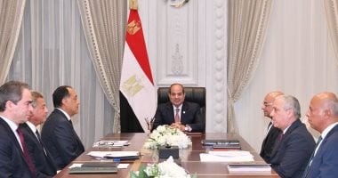 الرئيس السيسى يوجه بأهمية إتاحة البيانات والمعلومات للإعلام.. فيديو