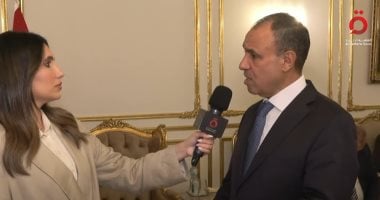 وزير الخارجية: الرئيس السيسي يقود سياسة نشطة.. ومصر تواصل جهودها لدعم القضية الفلسطينية