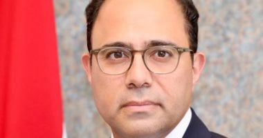 السفير أحمد أبو زيد: المشاركة فى الانتخابات رسالة ثقة فى الدولة والمسار الديمقراطى