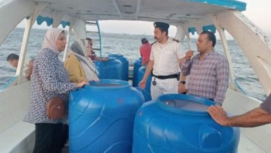 انطلاق عمليات إنزال يرقات الجمبري في بحيرة قارون