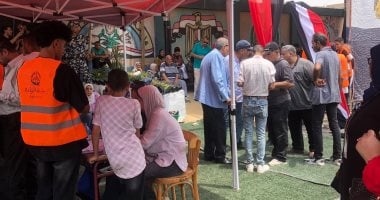 بعثة من الجامعة العربية تتابع انتخابات الشيوخ 2025 فى مصر الجديدة والنزهة