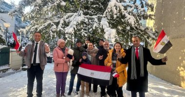 تظاهرة للمصريين فى النمسا تأييدا للرئيس السيسي