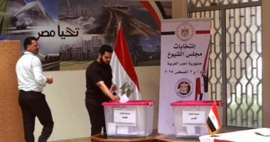 أصوات عابرة للحدود.. المصريون فى الخارج يجددون انتماءهم للوطن عبر "صناديق الشيوخ"