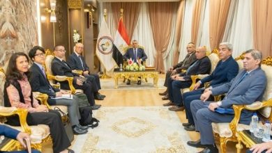 تعاون مشترك بين وزير الإنتاج الحربي والسفير الياباني بالقاهرة في مجالات التصنيع