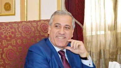 تقدير الرئيس السيسي يشكل دعمًا للصحافة القومية حسب «الشوربجي»