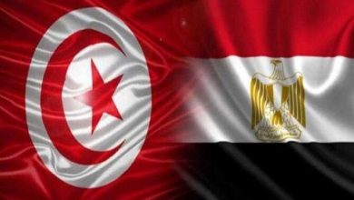 تنسيق مصري تونسي يعزز التعاون الإقليمي لقضية فلسطين