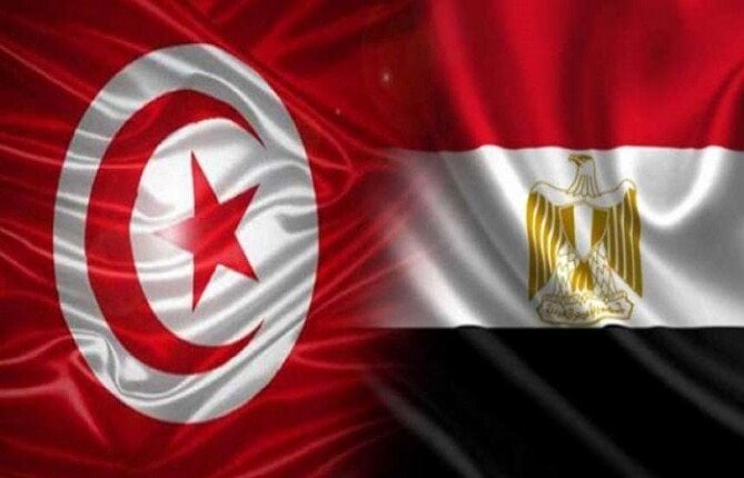 تنسيق مصري تونسي يعزز التعاون الإقليمي لقضية فلسطين