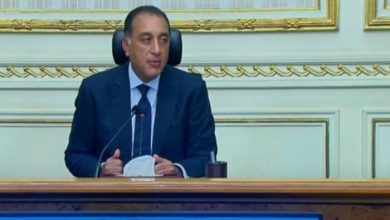توطين صناعة السيارات الكهربائية في مصر يشغل رئيس الوزراء