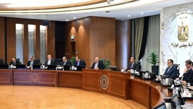 جهود رئيس الوزراء لتعزيز صناعة الأسمدة الزراعية بمصر تتقدم