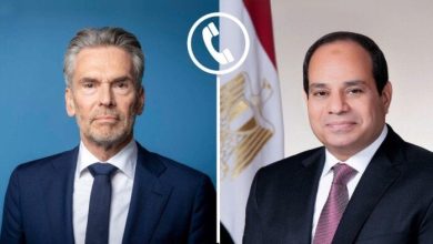 جهود مصر لوقف إطلاق النار في غزة بحثت مع رئيس وزراء هولندا