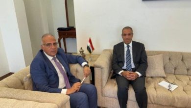 حفظ الأمن المائي: وزراء الخارجية والري يؤكدون عدم التأثير على مصالح دول حوض النيل