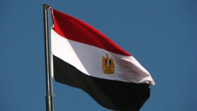 حماس تقدر جهود مصرية لإدخال مساعدات لغزة
جهود مصرية محل تقدير من حماس لإدخال المساعدات إلى غزة
مصر تضطلع بدور هام في إدخال مساعدات لغزة حسب حماس
