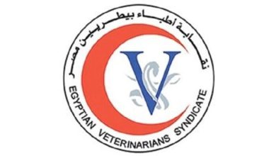 دعوة الأطباء البيطريين لعقد الجمعية العمومية العادية في 29 أغسطس