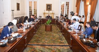 وزير الخارجية: نرفض بشكل قاطع توسيع العمليات العسكرية فى غزة